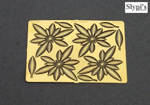 Fern leaves (1/72)